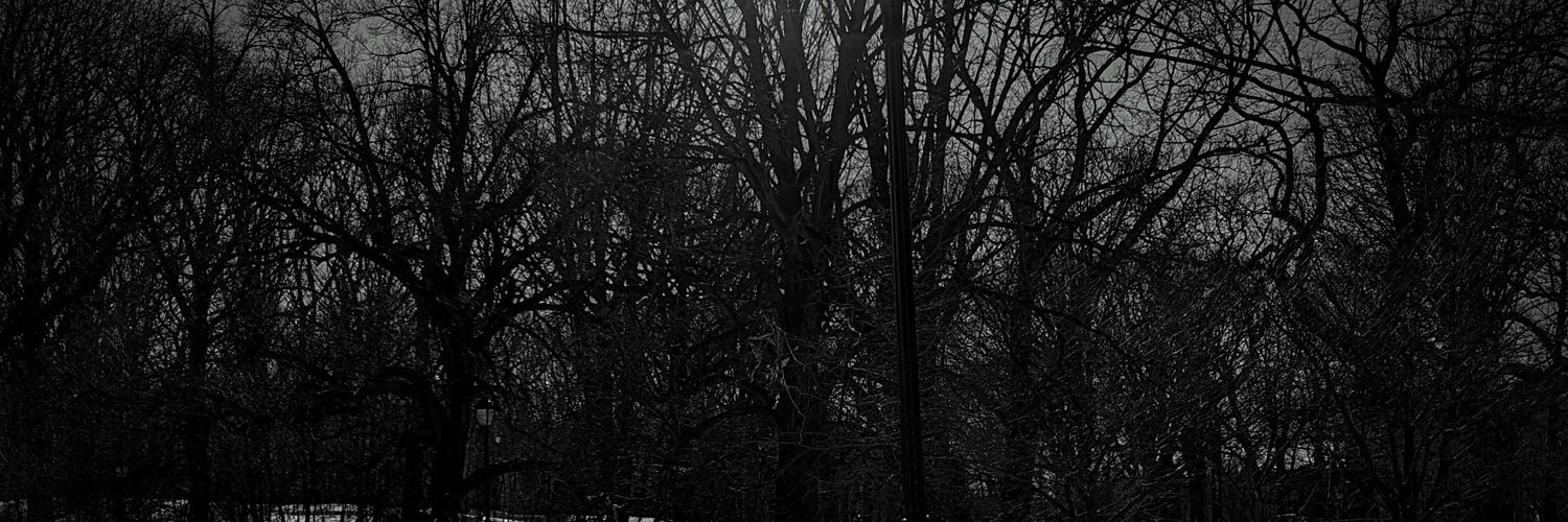 simfelz's profile banner image
