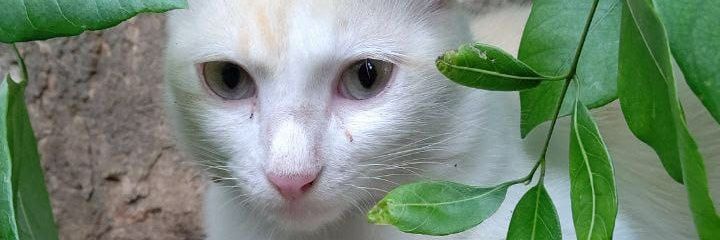 Andaru__9's profile banner image