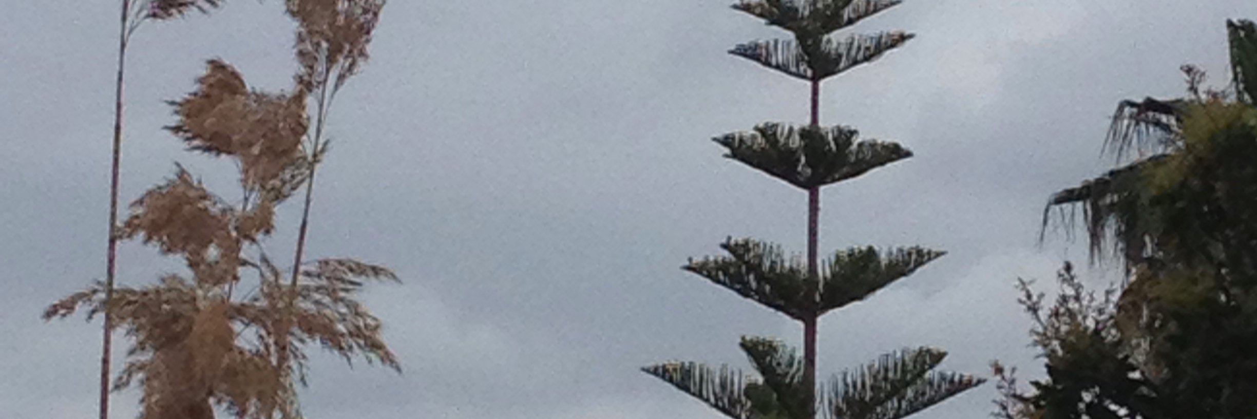 Giant_Guilloux's profile banner image