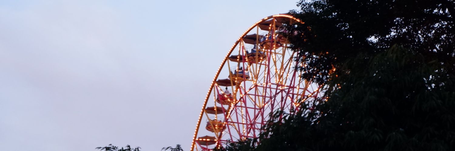 frogymind's profile banner image