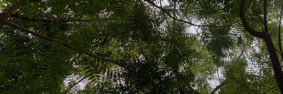 VincentBaura's profile banner image