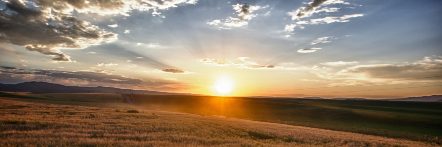ProfSmartyEsq's profile banner image