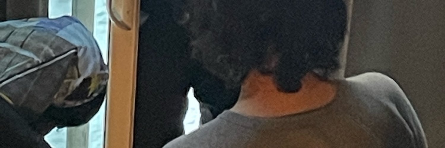 fallguyno's profile banner image