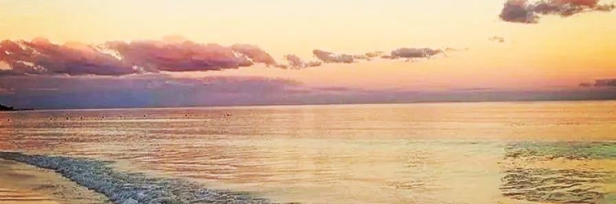 Liz9316's profile banner image