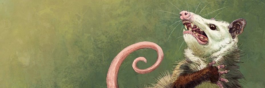 ElderRedHawk's profile banner image