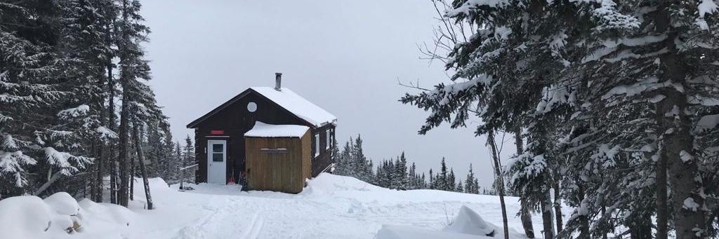 le_vincent's profile banner image