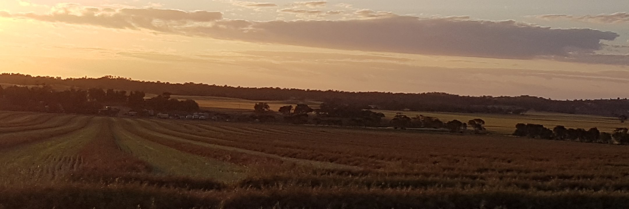 长沙玉兰路岳麓区扫街 banner