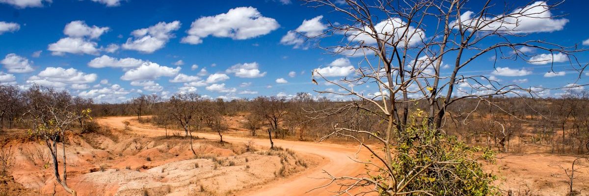 wesleylima247's profile banner image
