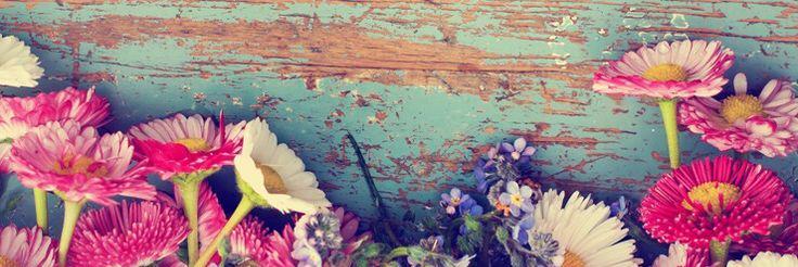Annika Slabbert banner
