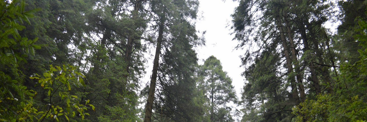 Nancy GálvezR banner