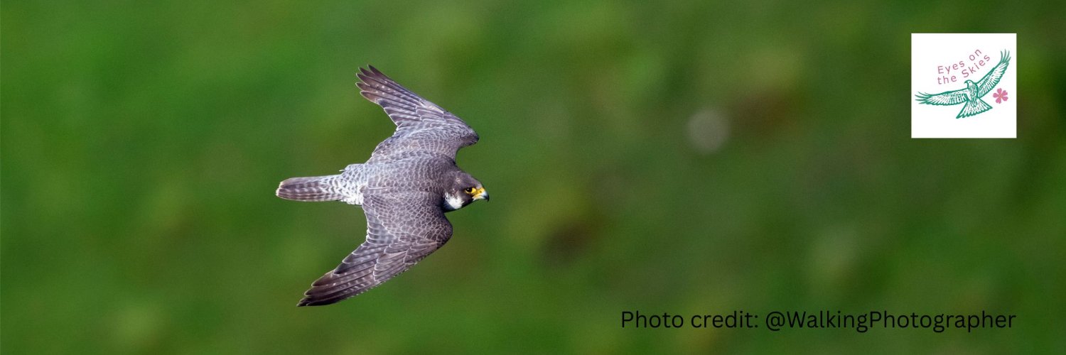 Friends of the Dales banner