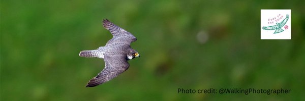 FriendsDales Profile Banner