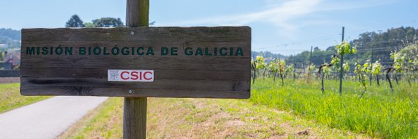 mbg_csic Profile Banner