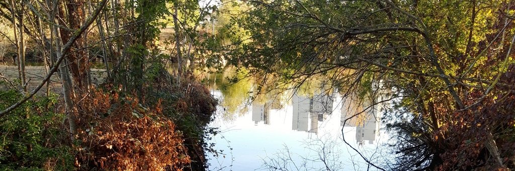 Caroline Monath banner