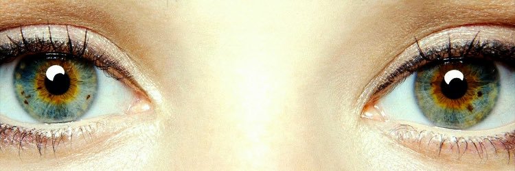 goochTKO's profile banner image
