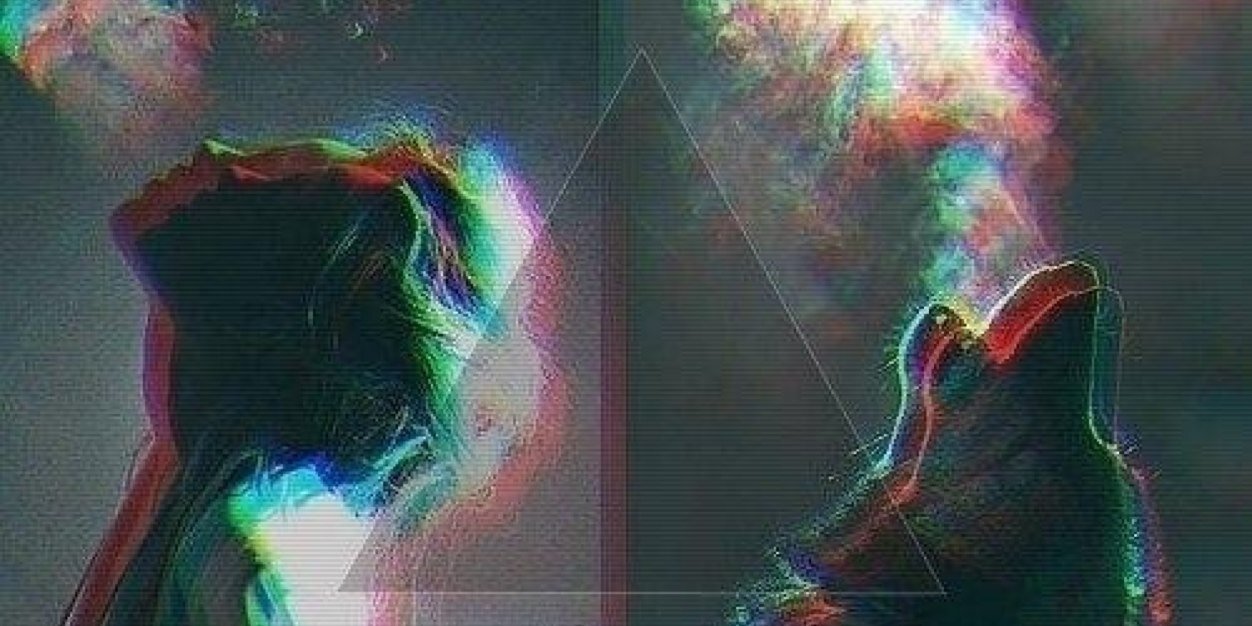 picipp's profile banner image