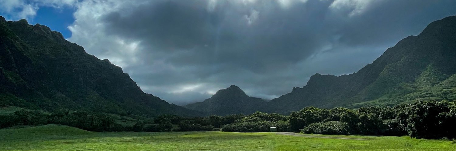 leaschll's profile banner image