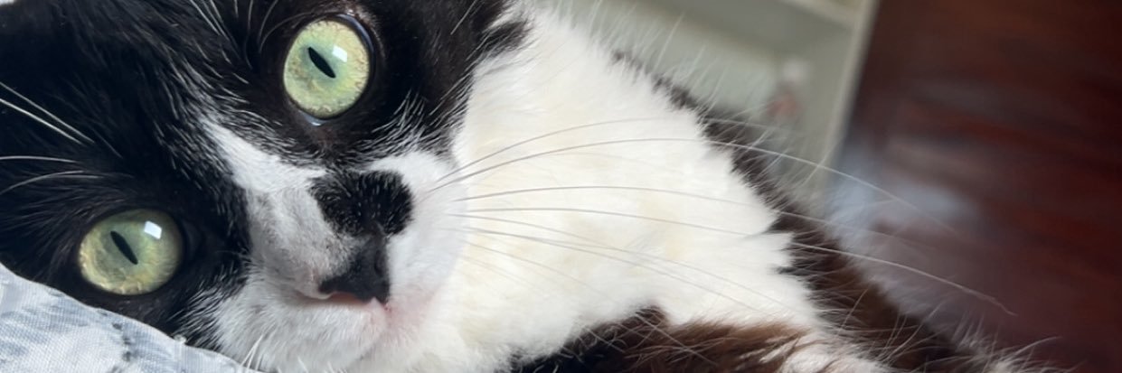b_pazzz's profile banner image