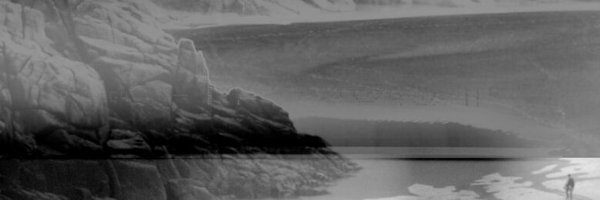 shi Profile Banner