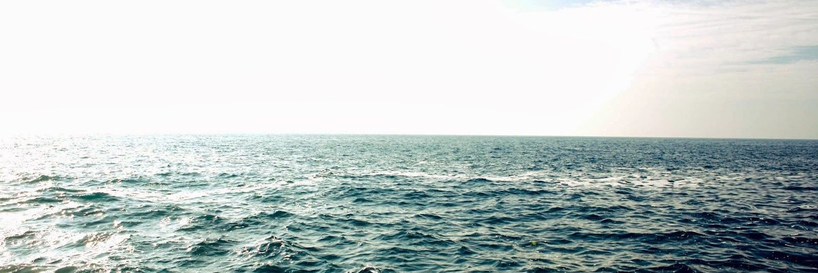 TypicalBartolo's profile banner image