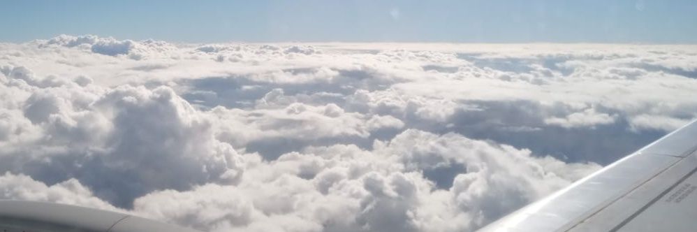 Claudia Silvestre banner