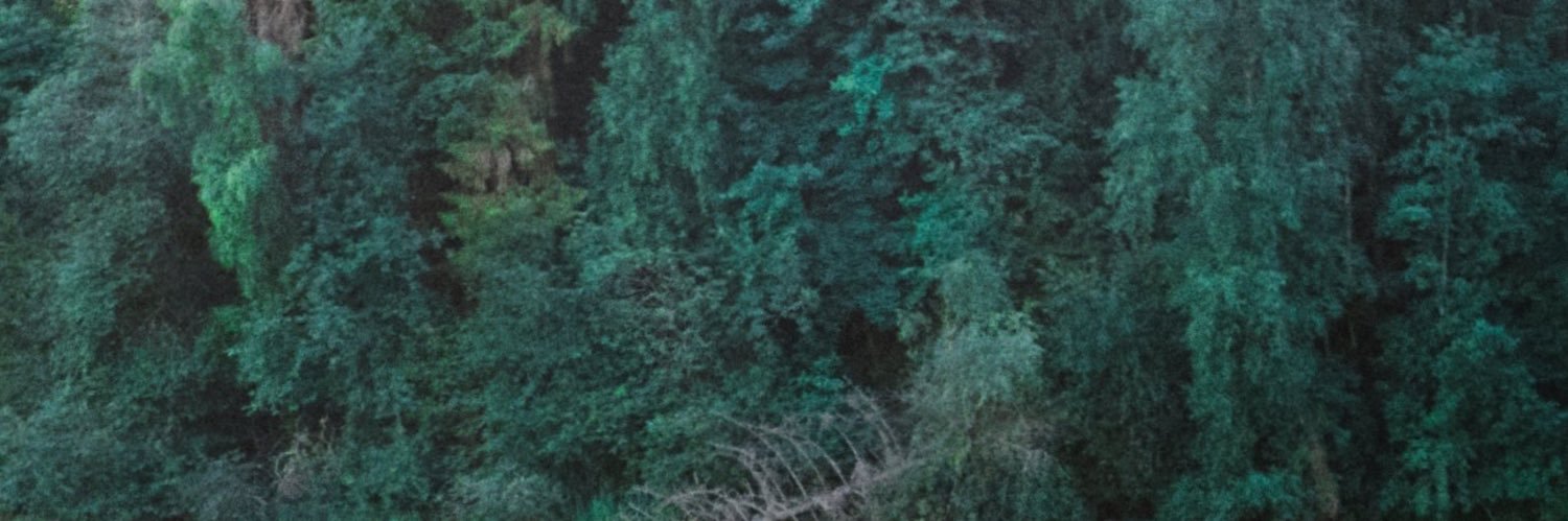 ⋆·˚ ༘ 𝐇𝐚𝐫𝐮𝐭𝐨 𝐚𝐝𝐝𝐢𝐜𝐭𝐞𝐝 ⤾·˚ ༘ banner