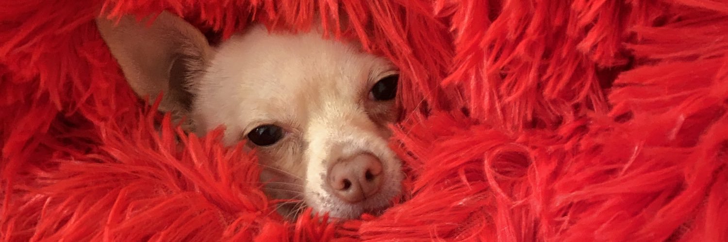 __weendyy's profile banner image