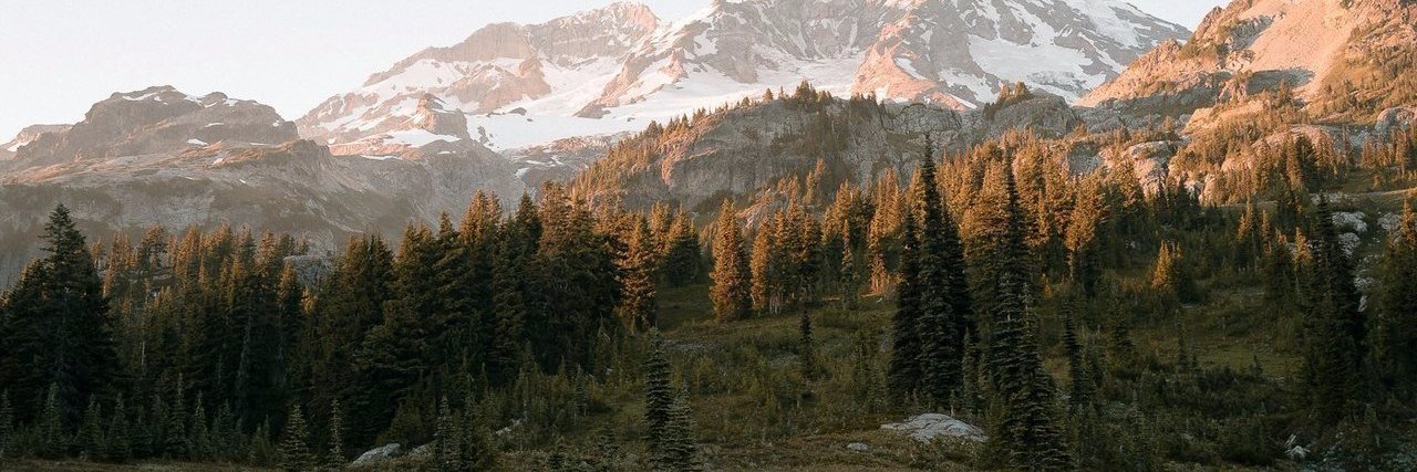 odinplov's profile banner image