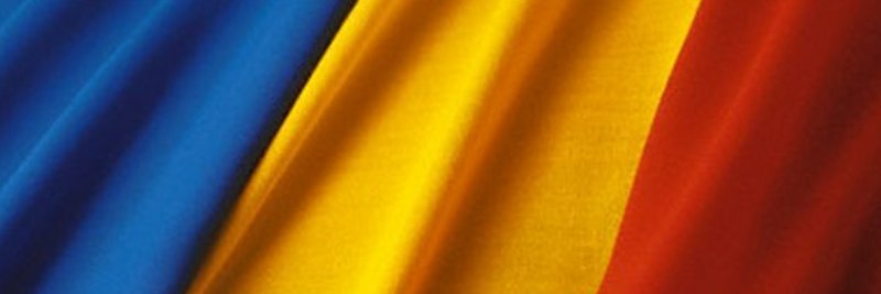 Ramona Manescu banner