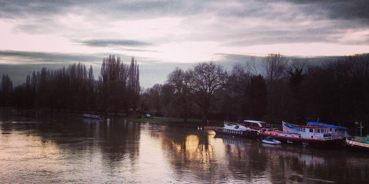 Hayley Greenfield banner