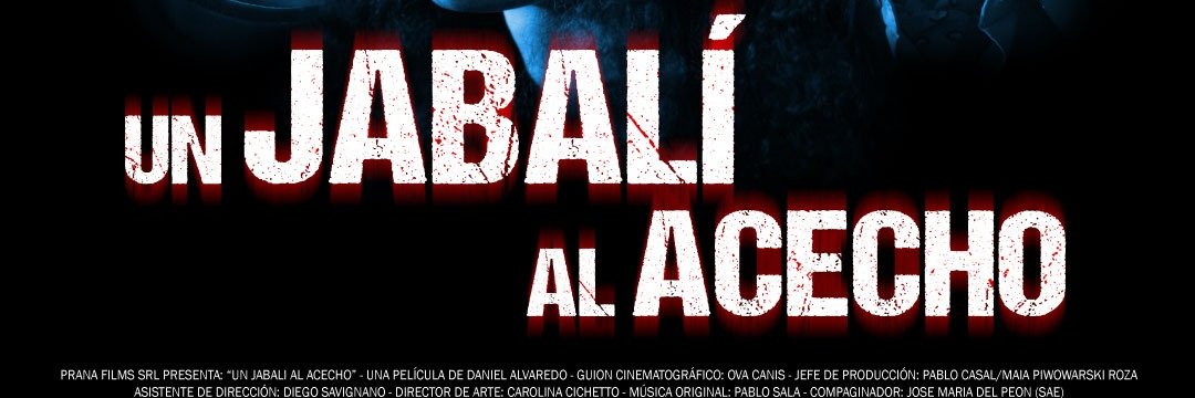 danielalvaredo's profile banner image