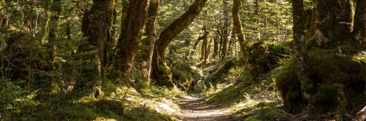 Year 5 Hawks 2022-2023 banner