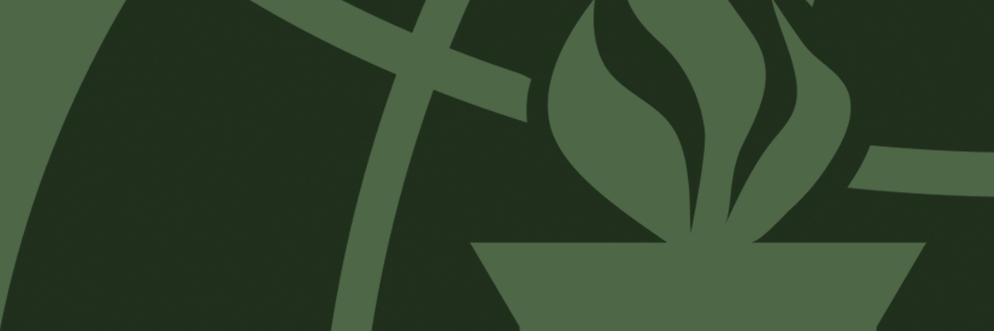 CPHS Rho Kappa banner