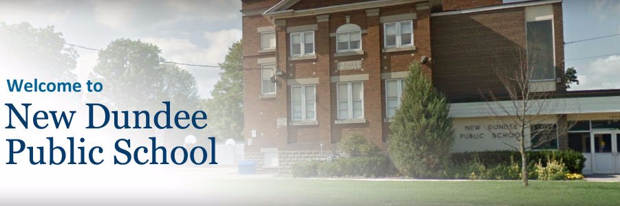 P.J. Wilson banner