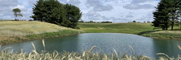 313_MsSippy Profile Banner