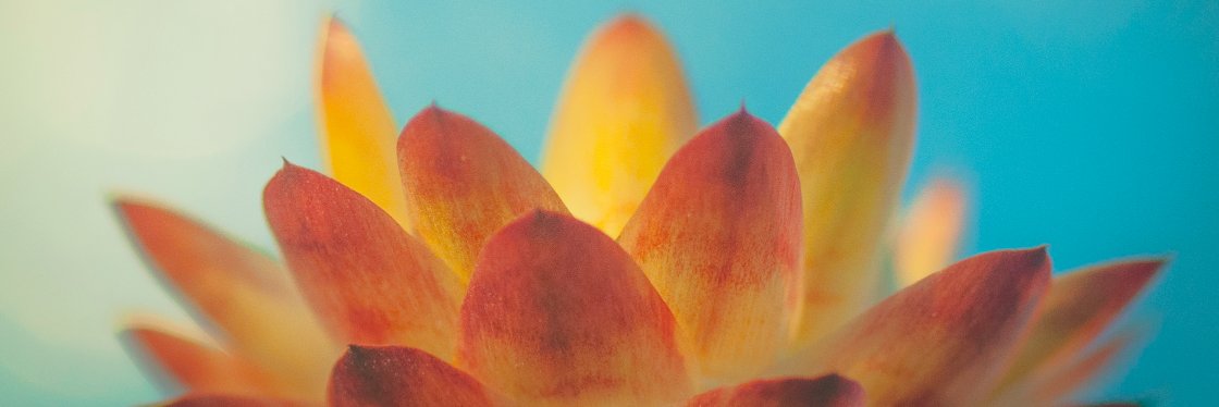 Ashu Mittal 📸 banner