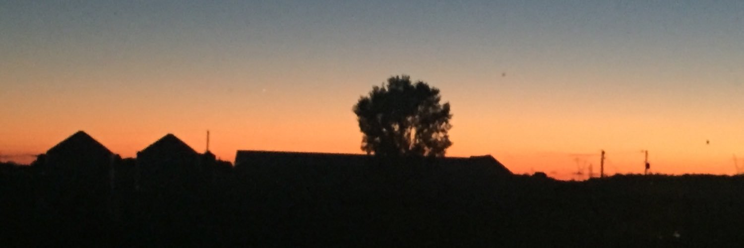 swainscottFLCS's profile banner image