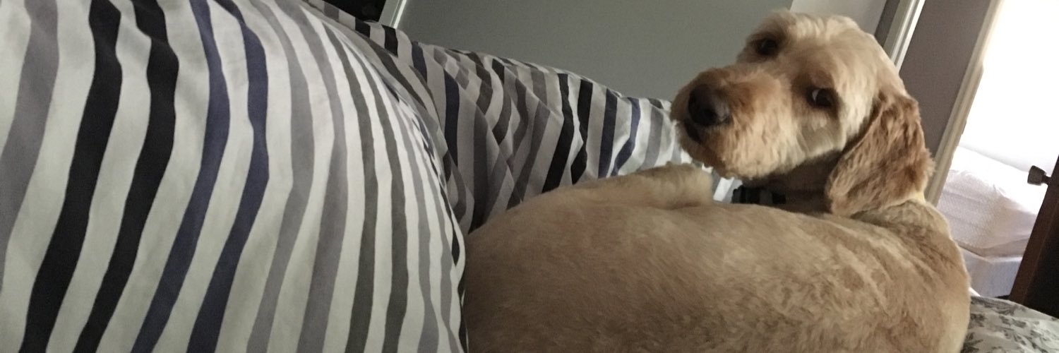 SassiestPants's profile banner image