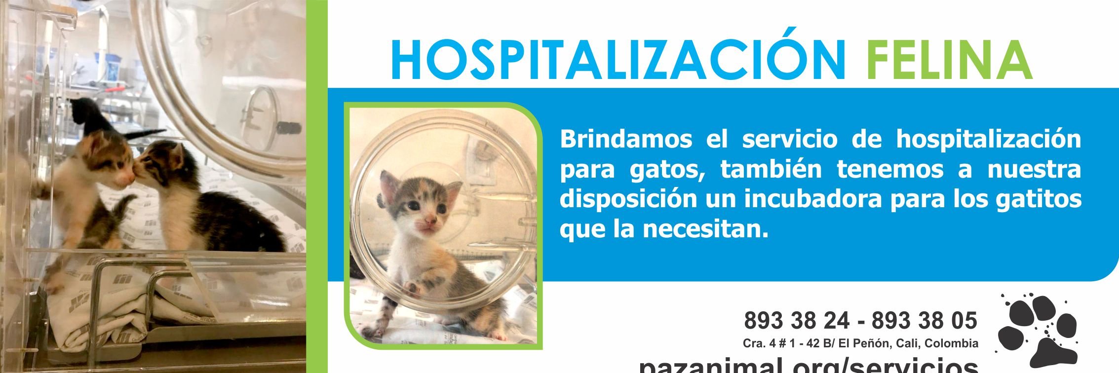 Fundación PazAnimal banner