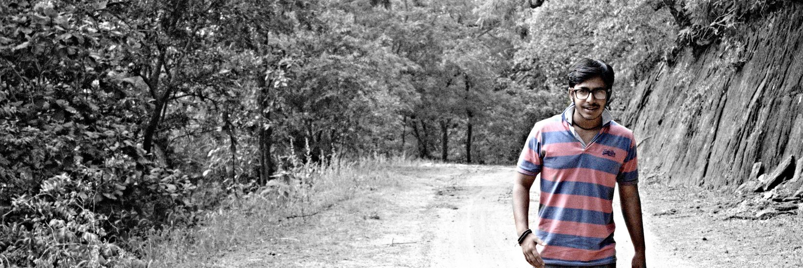 Viking_Roy's profile banner image