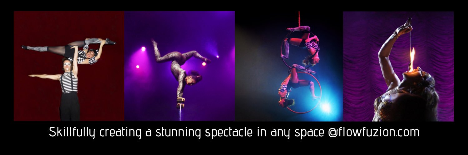 FlowFuzion's profile banner image