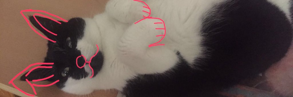 SerahHawke's profile banner image