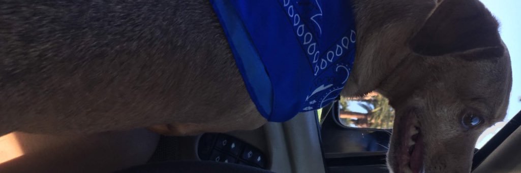 trill_666's profile banner image