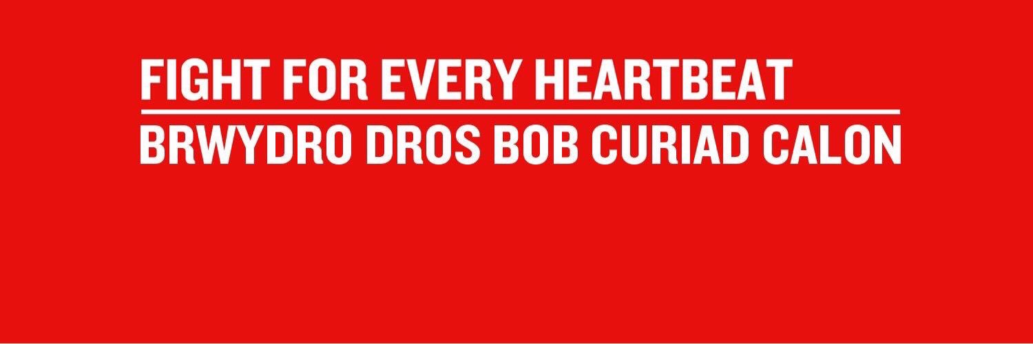 BHFNWales's profile banner image
