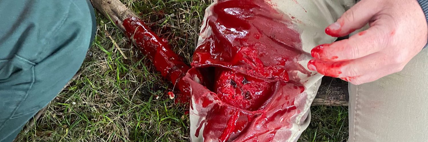 SCAS TEL Team banner