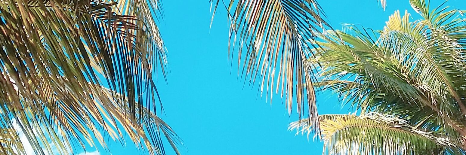 danicameeee's profile banner image
