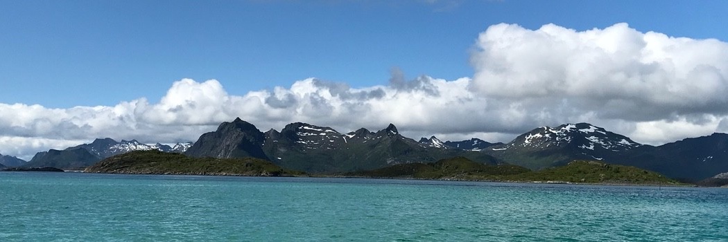 Véronique Revoy 🇫🇷🇳🇴🇦🇲🇪🇺 banner