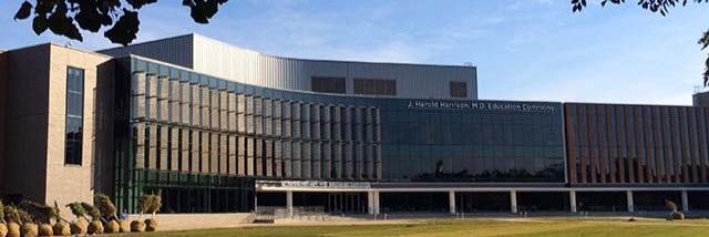 Pascha Schafer MD banner