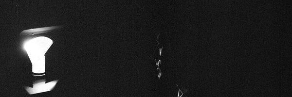 avalontassonyi Profile Banner