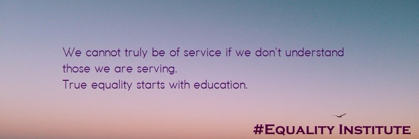 Equality Institute banner